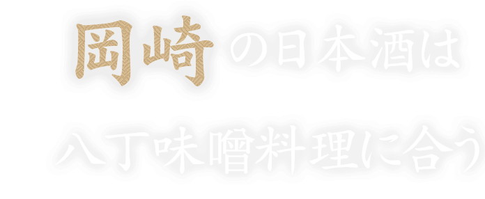 八丁味噌料理に